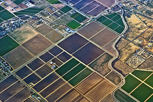 DigitalOrtho1 digital orthophotography services NY